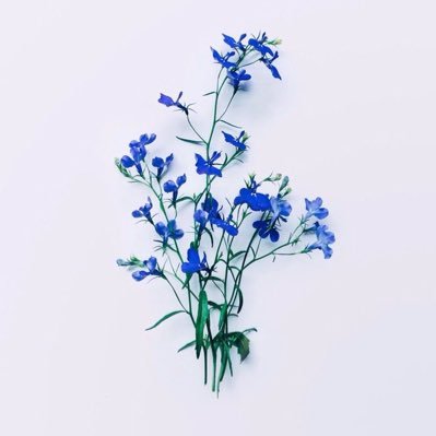 thiswxvy's profile picture. 