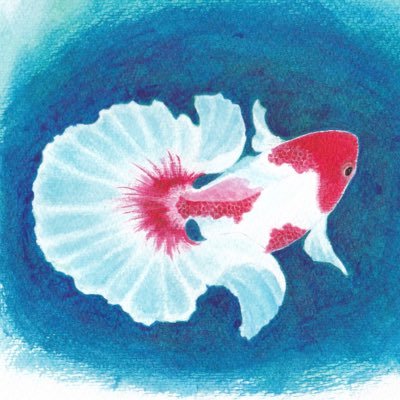 Crypto_Fishさんのプロフィール画像