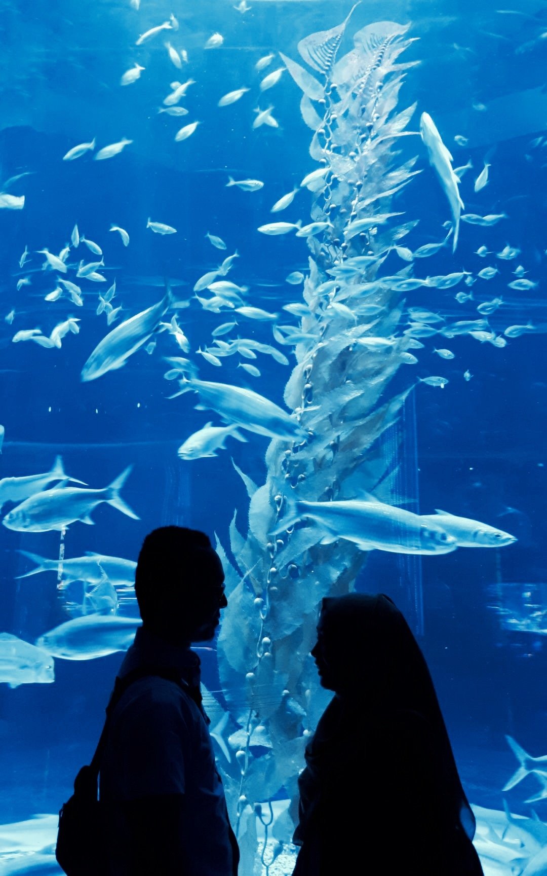 anisarchies's profile picture. None of my tweets benefits you