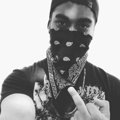 Dibity's profile picture. What's Twitter? I never thought I'd actually use this