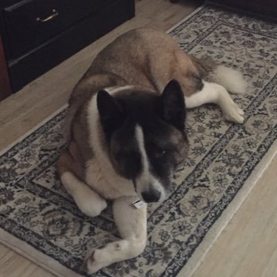 buickyip's profile picture. 國際