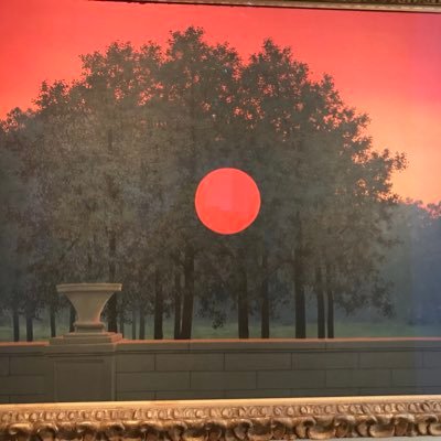 silviabianchiok's profile picture. 
