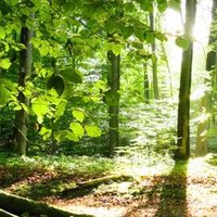 Inaam Nouri (@nouriinaam) Twitter profile photo