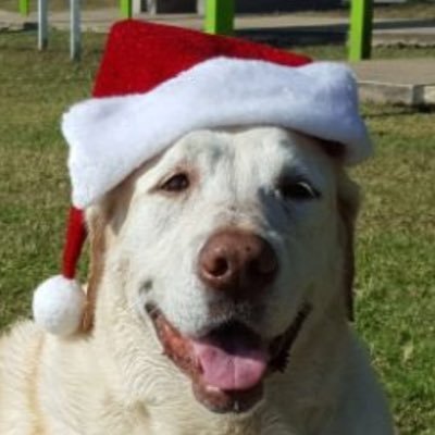 jack3mooney's profile picture. #TEXIT searching out the sparks that light the flames of the fyr we call life...  #Dogecoin DDPQRzidNtwdSZVTFxqRgLsPQ1mrigicng