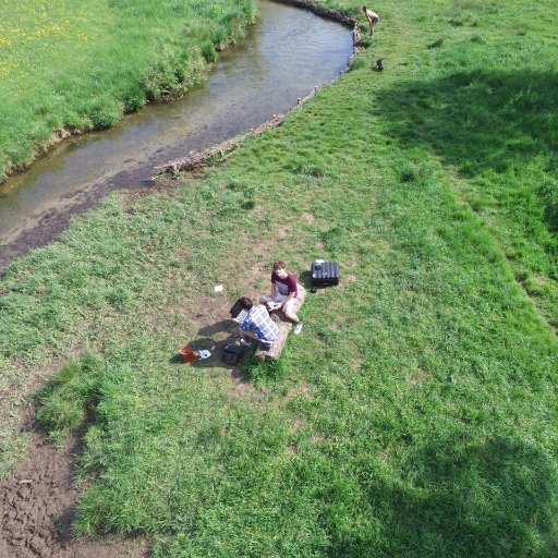 Alex39475565's profile picture. Ent