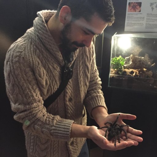 Paleolithic Archaeologist
Lithic technology
Researcher at @ICArEHB.
Invited professor @UniversidadedoMinho