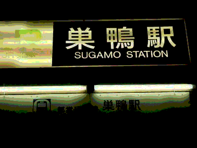 mediator_sugamo's profile picture. TEL:03-3944-6618
JR山手線　巣鴨駅で下車し、南口を出てすぐ国道17号線沿いにあります。 パソコン販売はもちろん、修理や買い替え アップグレードのご相談等なんでも引き受けます!!
みなさん近くにお立ち寄りの際には、是非遊びに来て下さい。またお電話での問い合わせも大歓迎です!!