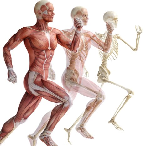 Level 3 Sports Massage
Ex Dancer
BA(Hons) Dance
Current: BSc(Hons) Sports & Dance Therapy.
London Based