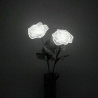 Hayat (@bayanemesisim) 's Twitter Profile