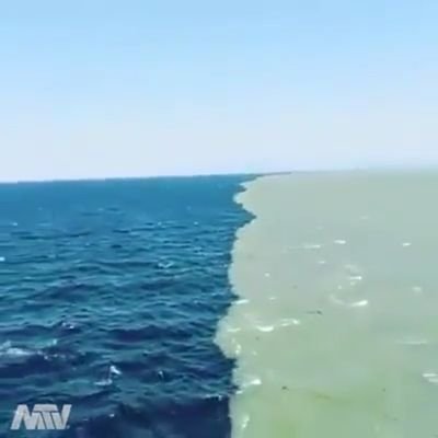 HKanju's profile picture. 