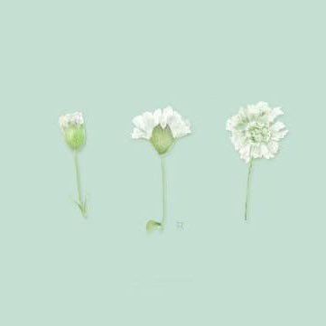 ふぅ。ஐ♪(育つ配信)さんのプロフィール画像