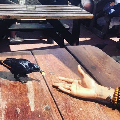 hammerdehouse's profile picture. Do what is RIGHT not what is Easy. #MUFC 🔴