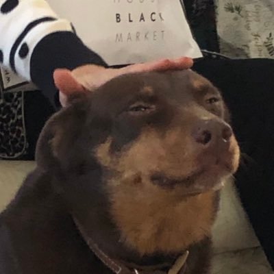 SmolBeanMeli's profile picture.