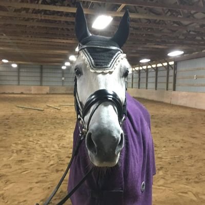 Joe Walsh, Eagles, and horses are my interests