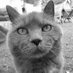 🧡 Klaus Dobadka (@c3por2d2de) Twitter profile photo 🧡 Klaus Dobadka (@c3por2d2de) Twitter profile photo