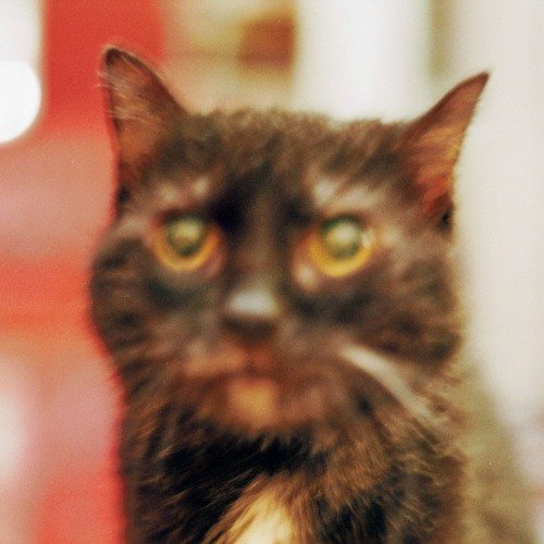 exportimport18's profile picture. 