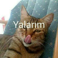 Batuhan Akdeniz (@batuhan97159836) 's Twitter Profile