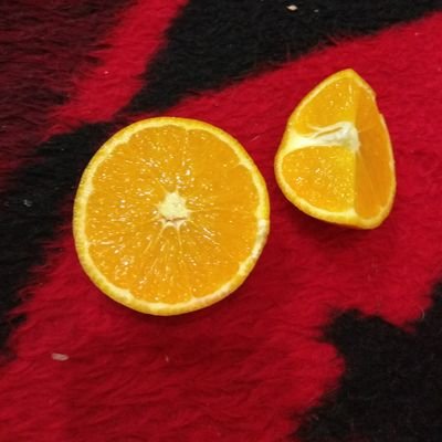 hCRCVIDJNjCu8Ql's profile picture. 