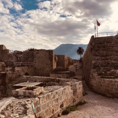 eren_gngr's profile picture. 