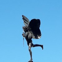Sarah Slye (@zzslye) 's Twitter Profile