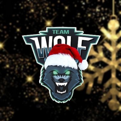 TeamWolF_FT's profile picture. e-Sports Team de @Fortnite  Equipo de @Team_WolFGG / Hasta siempre...