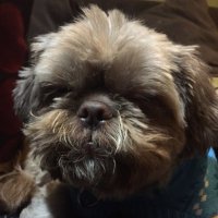 Mark590 (@mark18007) 's Twitter Profile