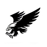 HHS Student Section (@bhawkpride) 's Twitter Profile