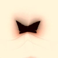 Darkedi (@darkedi12) 's Twitter Profile