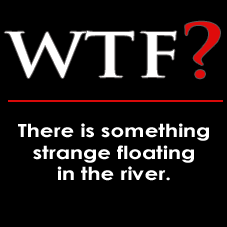 WTFAmazon's profile picture. Fishing for weirdness on the river.