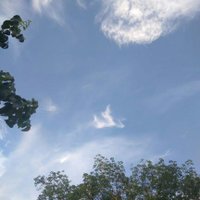 ladelvia β (@luvianna11) 's Twitter Profile