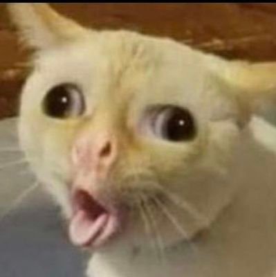 oxentehisis's profile picture. ⚫️⚪️🔴