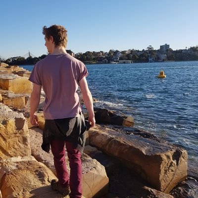 MichaelPipper's profile picture. he/him. tweets about toki pona, DnD, and random shit.