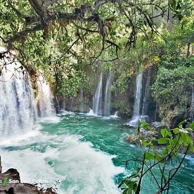 NuriaMontero5's profile picture. 