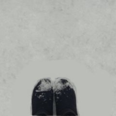 ranzhan68366069's profile picture. 