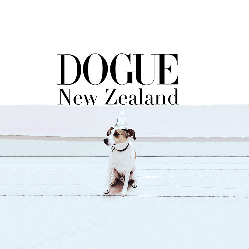 Dogue New Zealand: plastic & rubber-free organic dog leashes
handmade from New Zealand wool & leather