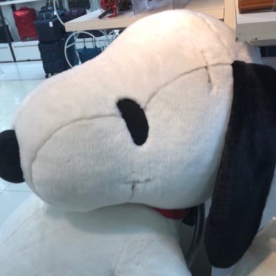 ma_go20's profile picture. 脂肪肝