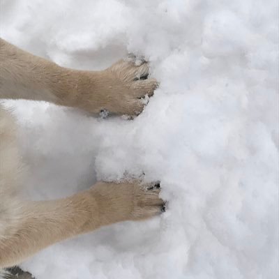 shiori_edure's profile picture. 1999