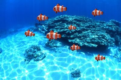 3RSSpHYESzYmJOV's profile picture. 