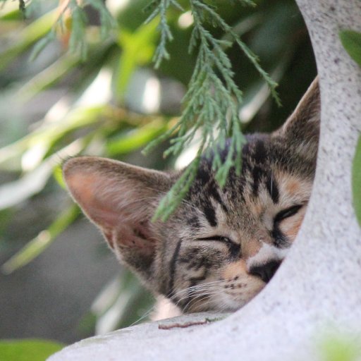 amuyikam's profile picture. 