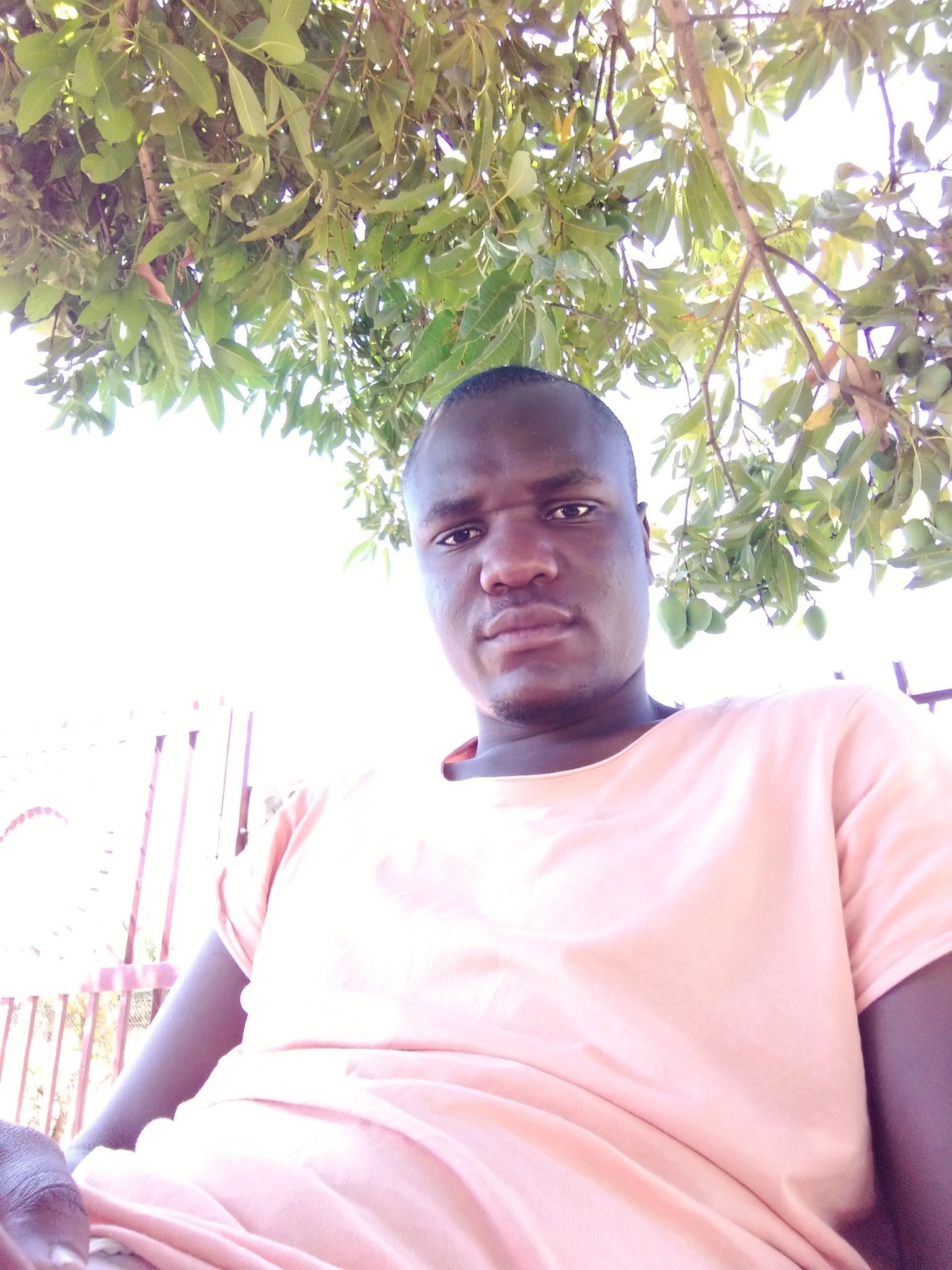 IAMCULISO's profile picture. 