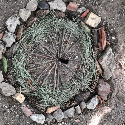 Eilalilalu's profile picture. 2fach Mama, Sozialwissenschaftlerin, Selbstundständig, Ökotussi