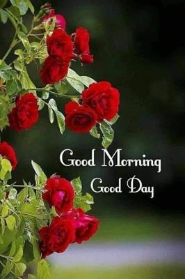 hafeesiddick's profile picture. Good best frend in hafee