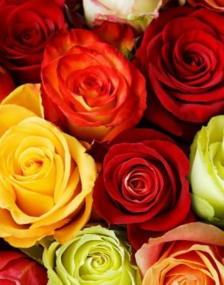 Vidhya46433401's profile picture. 