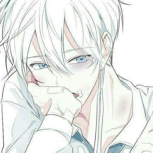 白田さんのプロフィール画像