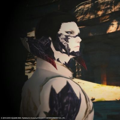 FFXIV 모험가른 + 인게임 레이캰
