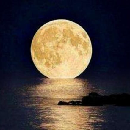 navahat22's profile picture. #غلاك_يكفيني