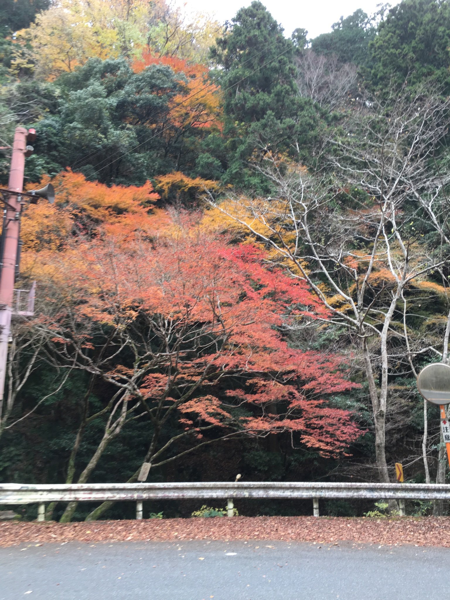 uniqueview46's profile picture. 