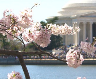 ali_ford's profile picture. 