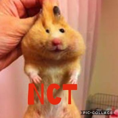 ネオカルキノコ W Nctの気になる歌詞 3位 Bossマーク ドスコス 2位 第7感ジェヒョン ゲロッピ 1位 0mileジャニ ジョン万次郎 ネオカルキノコ W Nctの気になる歌詞 3位 Bossマーク ドスコス 2位 第7感ジェヒョン ゲロッピ 1位 0mileジャニ ジョン万次郎