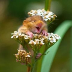 itemsplaza's profile picture. Online shopping Store from Amazon, Aliexpress and/or eBay etc as well as Best Shared & VPS Web Hosting, Best VPN Service, Best Smart DNS…..